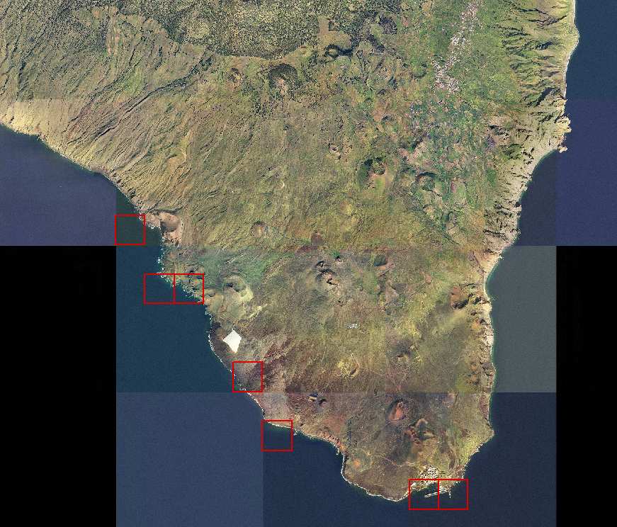 Se concluye que el área de ocupación de la especie es de 2 km 2, equivalente a 8 cuadrículas de 500 x 500 m. Para Tenerife se ha citado un ejemplar, aunque no se establece la localidad 5. 7.