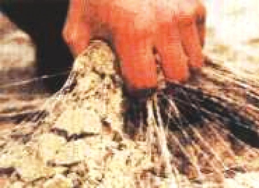 El Texsol a obtenido la equivalencia a las propiedades del espesor de tierra: 0,6 m de Texsol = 1 m tierra Texsol: mezcla de arena pulverizada estrechamente unida por