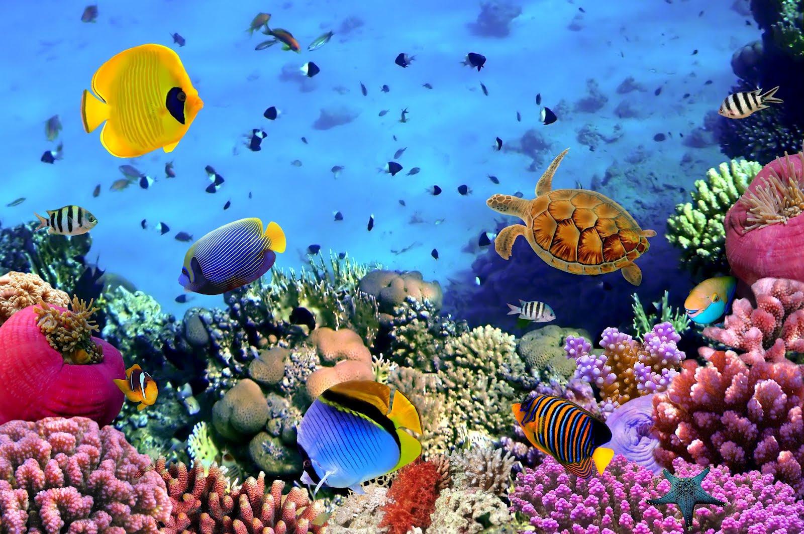 zooxantelas, endosimbiontes de corales, anémonas y almejas y protozoos