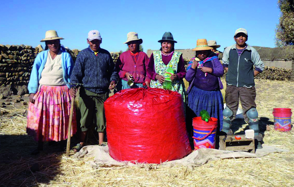 Guía práctica y didáctica para la alimentación del ganado vacuno en el altiplano boliviano La paja