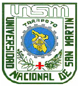 UNIVERSIDAD NACIONAL DE SAN MARTIN OFICINA DE INFORMATICA Y COMUNICACIONES Unidad de Administración de Sistemas de