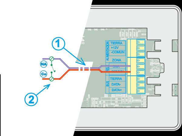 Conecte en la alimentación de 12V entre los terminales +12V y COMUN 1. Tenga en cuenta que la conexión COMUN se comparte con la entrada de Zona.