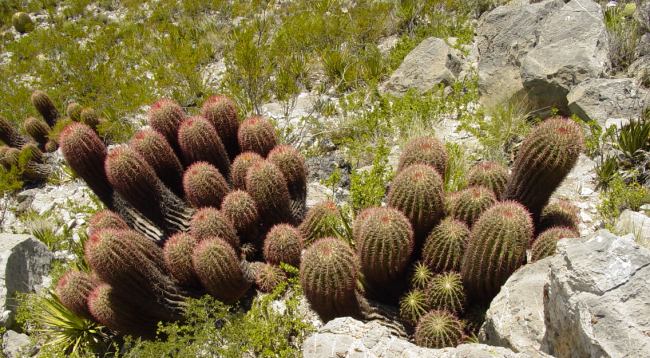 ANP s Sandia El Grande y Sierra Corral de los Bandidos ASPECTOS RELEVANTES: Refugio de fauna y flora Belleza