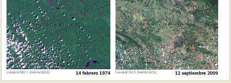 Figura 58. Cambios de cobertura forestal dentro del área protegida Reserva de Biosfera Maya, Guatemala; imágenes Landsat MSS y TM (NASA/USGS).