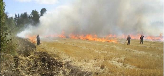Por qué los agricultores queman estos cultivos / tierras en particular?