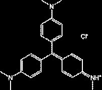 21 base (T1503), N,N -metilen-bis-acrilamida (M-7279), Azul brillante Coomassie R-250 (27816), Azul de bromo fenol (B5525), glicina (G-8898), SDS (L3771) y persulfato de amonio (A3678).