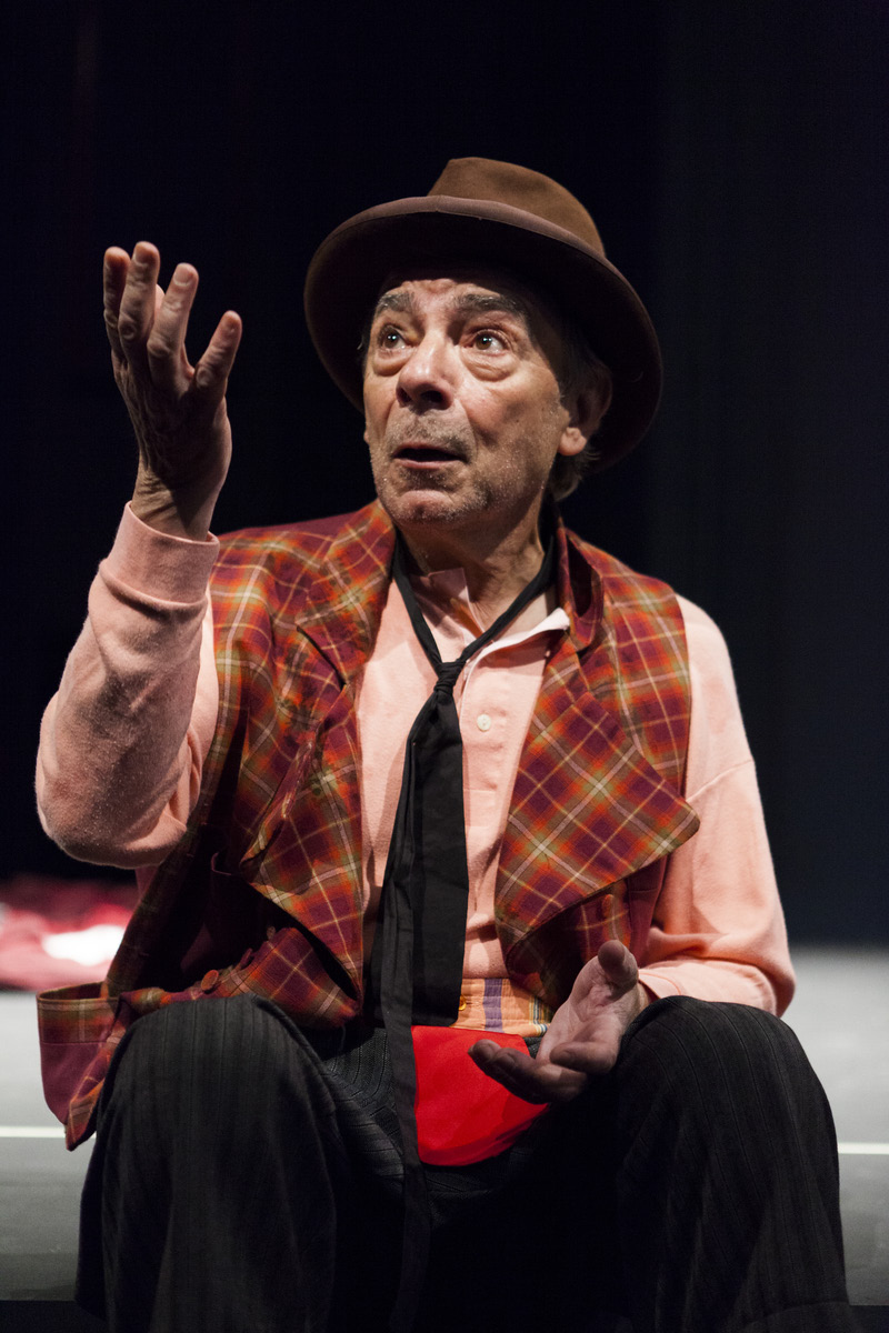 INTERPRETAN José Luis Gómez Hombre de teatro que ha recibido numerosas distinciones a lo largo de su trayectoria - entre ellas, el Premio Nacional de Teatro, el título de Doctor Honoris Causa por la