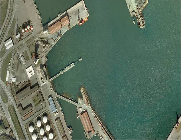 Estructura del sector pesquero del puerto de Gijón El puerto de Gijón está considerado el primer puerto granelero español, está equipado con las más modernas instalaciones, aptas para manipular todo