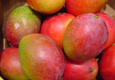PRODUCTOS Aceite, nuez y semillas Azúcar Banano Cacao Café Frutas frescas Frutas Secas