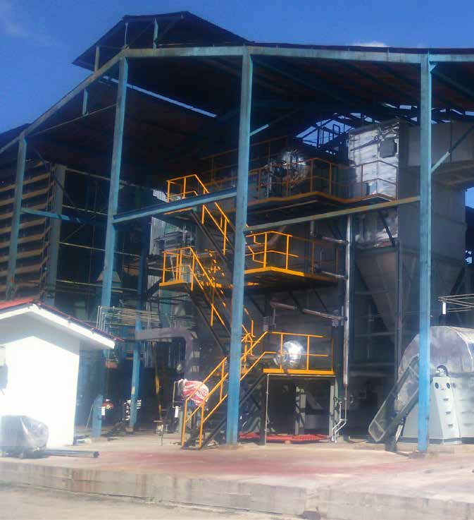 42 43 13 de 16 plantas industriales de extracción de aceite crudo de palma en el Perú es de propiedad de empresas asociativas.
