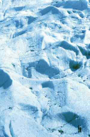 3. De valle o alpino. Es la fisonomía más común en glaciares de montaña.