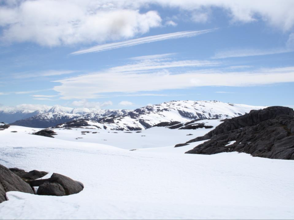 Posibles causas del retroceso del hielo en Patagonia: Características geográficas propias de los Campos de Hielo. Cambios en la extensión de la cubierta de hielo Marino-Antártica.