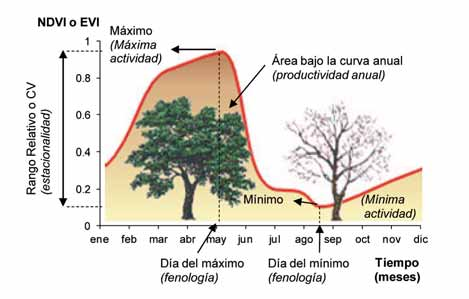 Figura 2. Curva anual del índice espectral de vegetación (NDVI o EVI) y sus descriptores funcionales derivados.