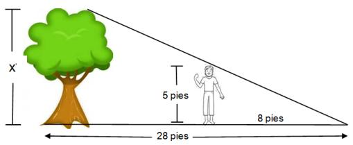 MATEMÁTICAS 13 40) La expresión equivalente a: (1 + cos x)(1 - cos x) = A) 1 B) sec 2 x C) sen 2 x D) csc 2 x 41) En un momento del día, un joven de 5 pies de altura proyecta una sombra de 8 pies.
