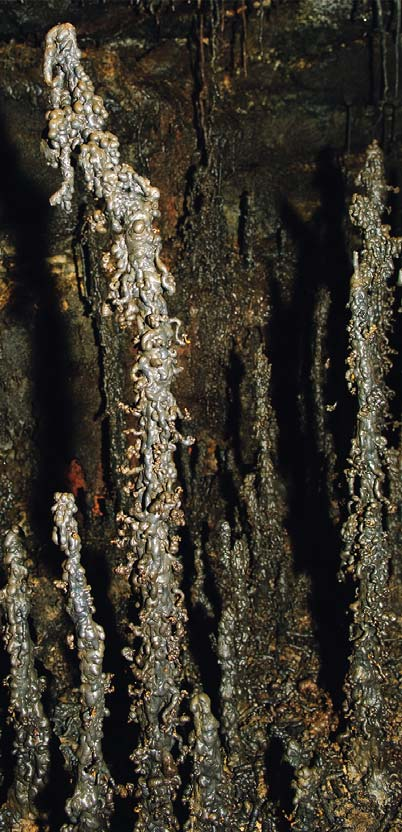Los espeleotemas y otras estalactitas de lava del túnel de Jörundur parecen candelabros salidos de la fragua del escultor suizo Alberto Giacometti.