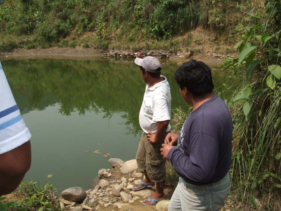 RESULTADO 02: Promovida la actividad acuicola de especies icticas tropicales mediante programas de capacitación y asistencia técnica a los productores rurales de las provincias de Carabaya y Sandia