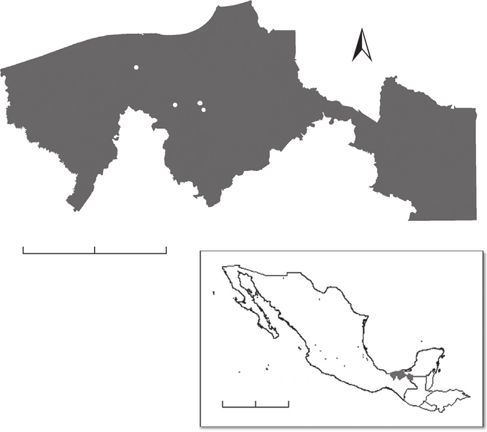 432 S. Oporto et al. / Revista Mexicana de Biodiversidad 86 (2015) 431 439 los pastizales para la ganadería extensiva y en menor grado plantaciones y bosques secundarios (Bray y Klepeis, 2005).