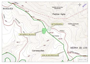En la siguiente imagen puede apreciarse la ubicación de este área protegida, junto a la zona de reforestación (límite de la Cuenca del Poyo) y al rodal de tratamientos selvícolas, y que es atravesada