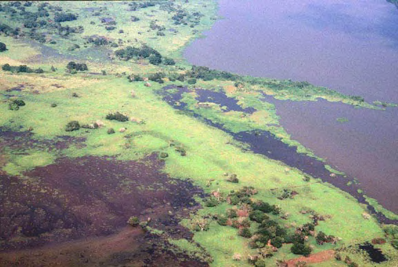 Figura 5. Fotografía oblicua aérea de los campos de tierras bajas entre un humedal y la orilla de la Laguna Zaragoza en el centro de la fotografía. El noreste está en la parte superior.