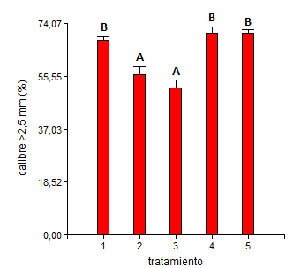 Figura 4. Porcentaje de calibre mayor a 2,5 mm y menor a 2,8 mm de los siguientes tratamientos:1: Testigo, 2: Urea (46% N) en macollaje (Z2.