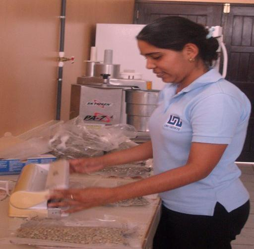 Metodología Para iniciar el proceso de la denominación de origen del café del municipio de San Rafael del Norte, departamento de Jinotega se realizó un estudio técnico, el cual comprende
