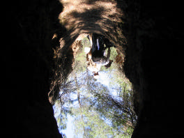 MINA DE HIERRO Historial El Grupo descubrió la existencia de esta mina durante el verano del año 98, mediante un miembro del Grupo que trabajaba en una brigada forestal de limpieza de montes.