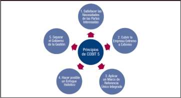 3.2.1.1. Principios básicos de COBIT 5 para el gobierno y la gestión de TI Empresarial Gráfica 3. Principios básicos de COBIT 5 para el Gobierno y la Gestión de TI empresarial. Fuente: ISACA.