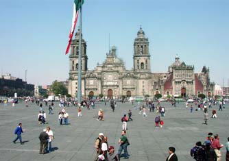 ASOCIACIÓN ARGENTINA DE FITOMEDICINA MÉXICO En 1997 las plantas medicinales quedan ampara- das en la Ley Nacional de Salud, art. IV, inciso 224.