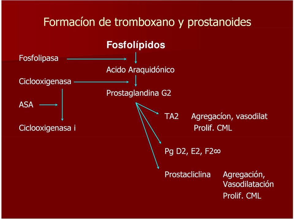 Araquidónico Prostaglandina G2 TA2 Agregacíon, vasodilat