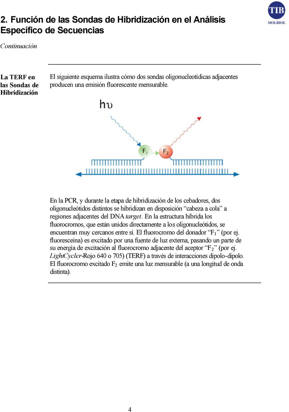 En la PCR, y durante la etapa de hibridización de los cebadores, dos oligonucleótidos distintos se hibridizan en disposición cabeza a cola a regiones adjacentes del DNA target.
