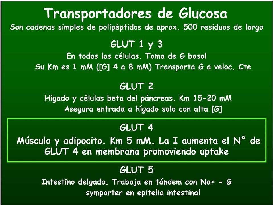 Cte GLUT 2 Hígado y células beta del páncreas.