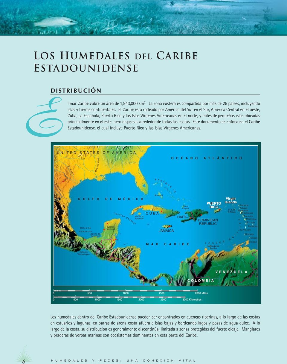 principalmente en el este, pero dispersas alrededor de todas las costas. Este documento se enfoca en el Caribe Estadounidense, el cual incluye Puerto Rico y las Islas Vírgenes Americanas.