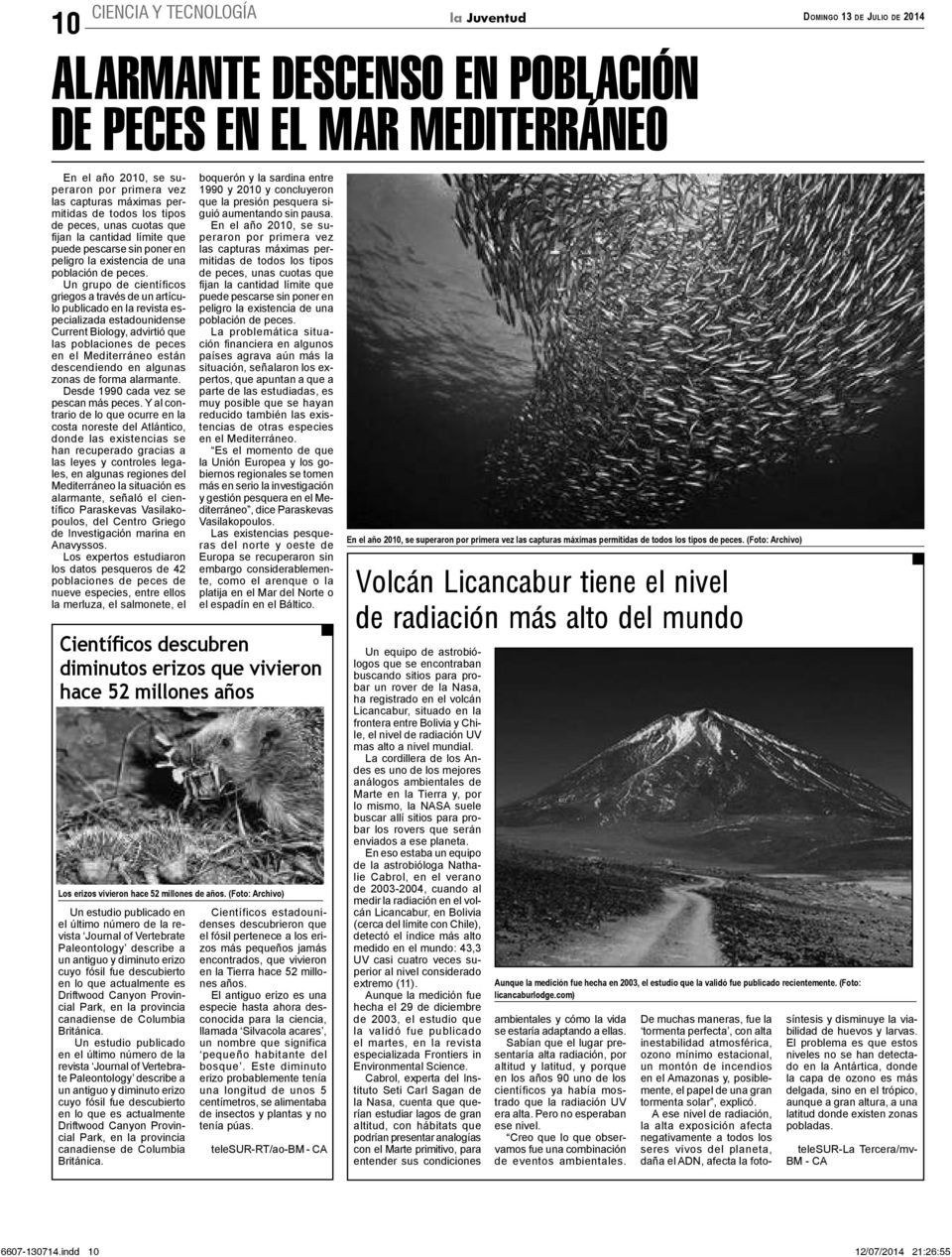 Un grupo de científicos griegos a través de un artículo publicado en la revista especializada estadounidense Current Biology, advirtió que las poblaciones de peces en el Mediterráneo están