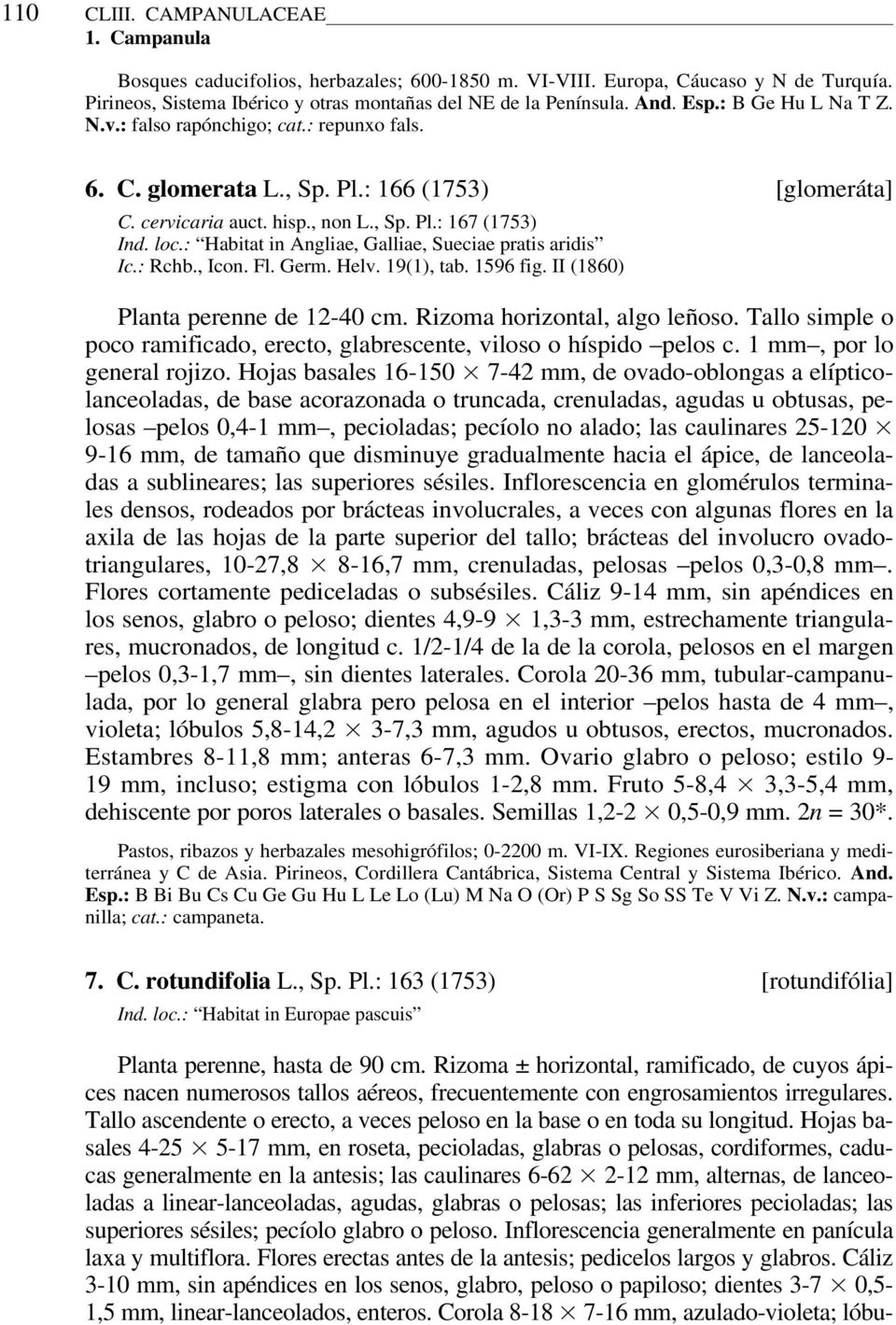 : Habitat in Angliae, Galliae, Sueciae pratis aridis Ic.: Rchb., Icon. Fl. Germ. Helv. 19(1), tab. 1596 fig. II (1860) Planta perenne de 12-40 cm. Rizoma horizontal, algo leñoso.