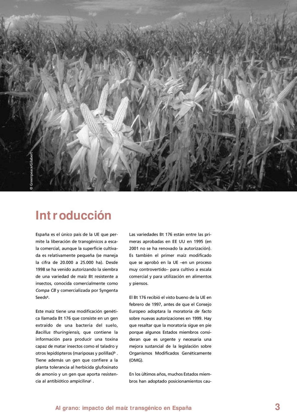 Desde 1998 se ha venido autorizando la siembra de una variedad de maíz Bt resistente a insectos, conocida comercialmente como Compa CB y comercializada por Syngenta Seeds a.