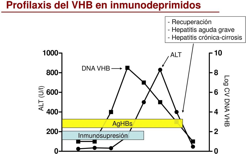 ALT (U/l) 800 600 400 200 DNA VHB AgHBs
