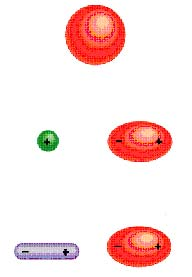 Fuerzas intermoleculares (3) Fuerzas de dispersión. Fuerzas atractivas que se originan por la formación de dipolos inducidos en átomos y moléculas.