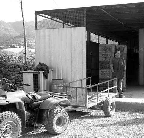 52 GEM Mujeres y actividad emprendedora en Chile 2008-2009 (piqueteros) en forma autónoma, quienes se reúnen en grupos, y parten rumbo a las desérticas montañas en busca de un pique minero.