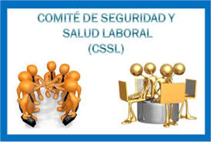 Comité de Seguridad y Salud laboral (CSSL) Órgano paritario y colegiado de participación destinado a la consulta regular y periódica de las políticas, programas y actuaciones en materia de Seguridad