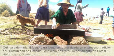 PRODUCCIÓN Y MERCADO DE LA QUINUA EN BOLIVIA La harina de quinua, es elaborada a través de un proceso de secado inicial, hasta que el grano tenga una humedad menor o igual a 11%.