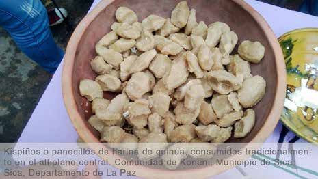 Capítulo 4: El Cluster de la quinua en Bolivia 4.2.2.2.4. Subproductos La quinua tiene también una cantidad importante de subproductos y usos alternativos.