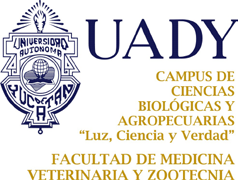Universidad Autónoma de Yucatán Facultad de Medicina Veterinaria y Zootecnia Departamento de Apicultura Curso de Educación Continua