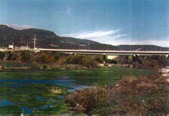 Figura 6. Bocana del Arroyo San Miguel (= El Carmen), Ensenada, Baja California, México. Ubicación Geográfica: 31 54' 05.8" N, 116 43' 48.4" W. Región Hidrológica: RH-1C.