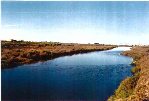 Figura 9. Canal de la parte baja del Arroyo El Salado, Ensenada, Baja California, México. Ubicación Geográfica: 31 06' 35.5" N, 116 17' 50.4" W. Región Hidrológica: RH-1 C.