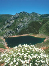 Más información sobre el PN de Somiedo Geología Desde el punto de vista de la litología, en Asturias pueden diferenciarse dos grandes ámbitos: el área oriental, de litologías predominantemente