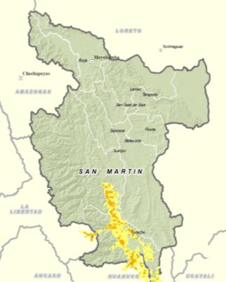 El Modelo San Martín COCA NARCOTRÁFICO EN SAN MARTÍN: 1996 Y 2010 1996: