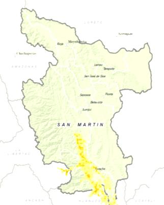 El Modelo San Martín COCA NARCOTRÁFICO EN SAN MARTÍN: 1996 Y 2010 Se han reducido las áreas de producción cocalera entre 1996 y el 2010.
