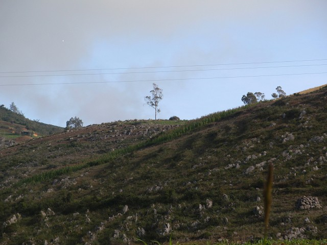 Vista panorámica de la formación Cajamarca en la zona de Celendín 2.6.11. FORMACION CELENDIN (Ks ce) Extensión: 24 534.27 Ha Porcentaje: 0.74 %.