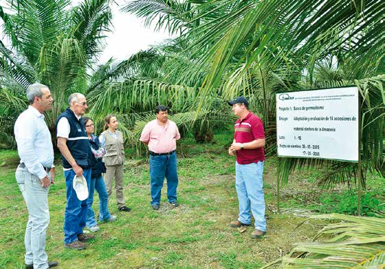 Registro y certificación de productores y viveros de material vegetal de palma aceitera La Agencia Ecuatoriana de Aseguramiento de Calidad del Agro AGROCALIDAD, es la Autoridad Nacional Sanitaria,