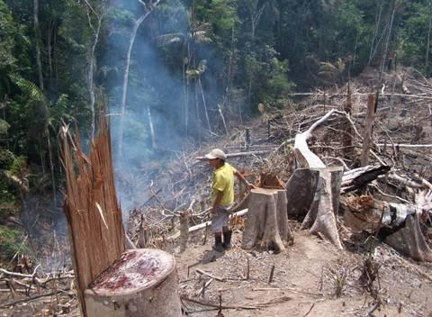 Deforestación y tierras degradadas La superficie deforestada acumulada al año 2000 es 7 172,553 ha, de este total 3 168,727